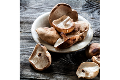 Image NI Mushroom Shiitake